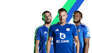 Exploring the Exciting World of BC.Game 14